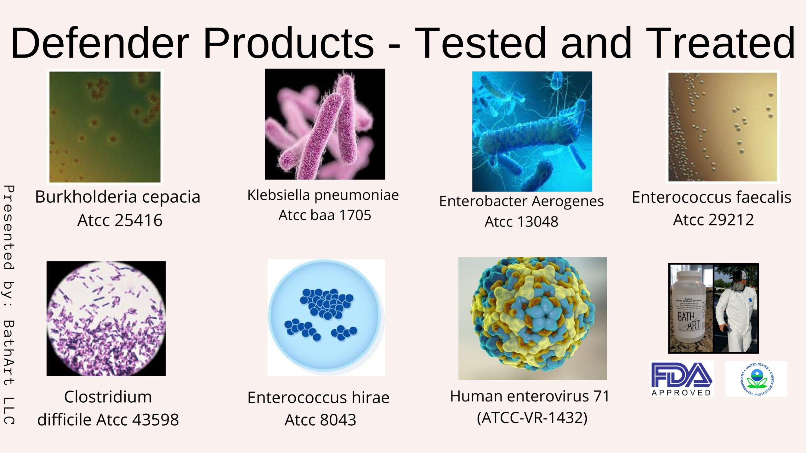 A series of pictures showing different types of viruses.