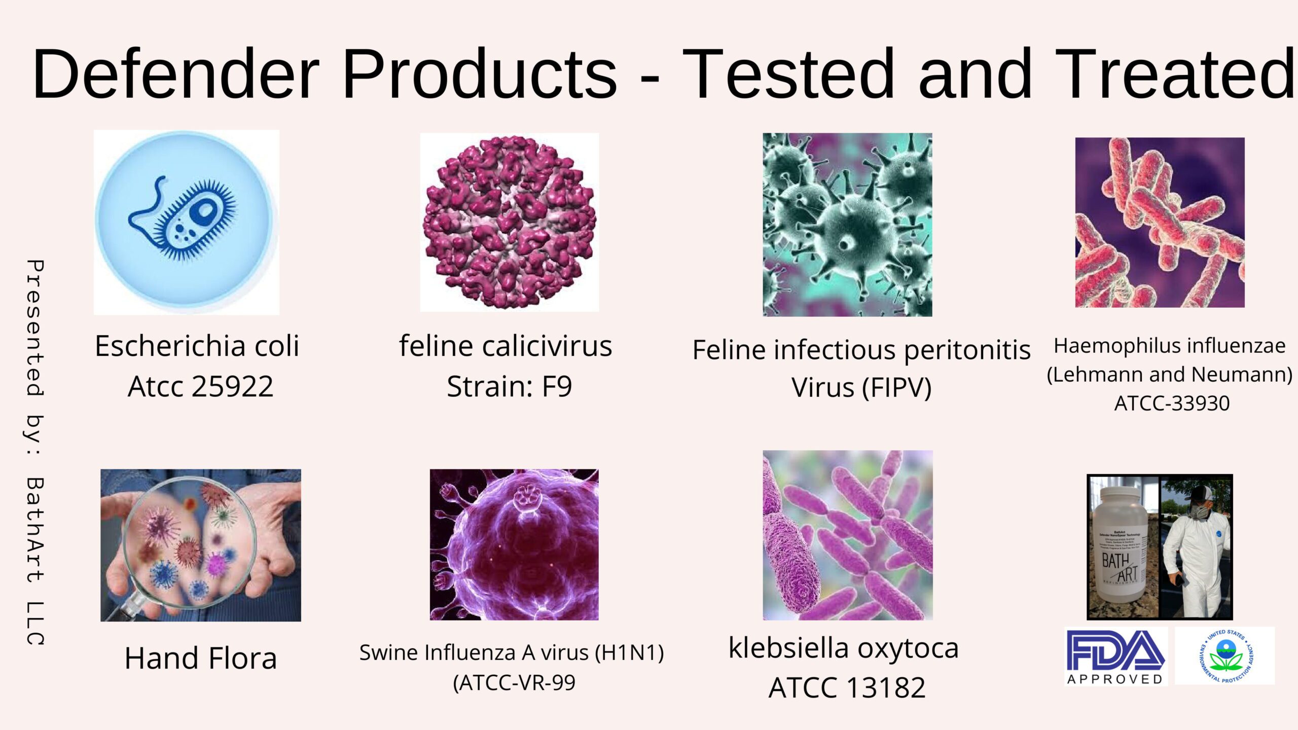 A series of pictures showing different types of viruses.